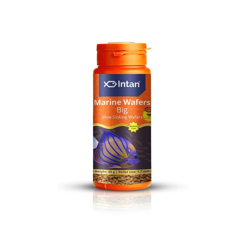 Intan Marine Wafers Big marine fish food sinking wafers