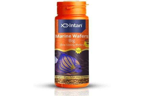 Intan Marine Wafers Big marine fish food sinking wafers