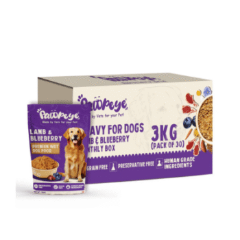 Lamb Wet Dog Food Pawpeye Lamb and Blueberry Monthly Box 30 Pack