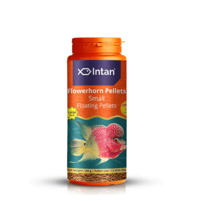 Intan Flower Horn Pellets Premium Fish Food for Flowerhorn Cichlids