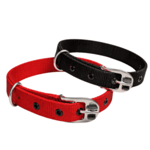 best dog collars for daily use comfortable and strong
