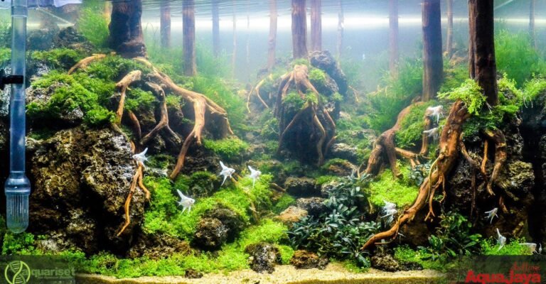 A beautifully aquascaped planted aquarium with green aquatic plants driftwood and crystal clear water